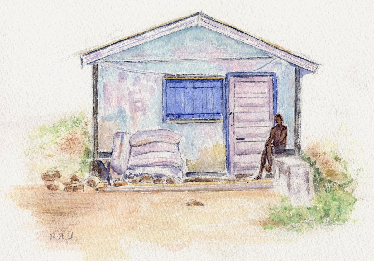 Cabane à la Réunion - Aquarelle copyright Christiane Rau 2016 d'après photo de Johann Rau