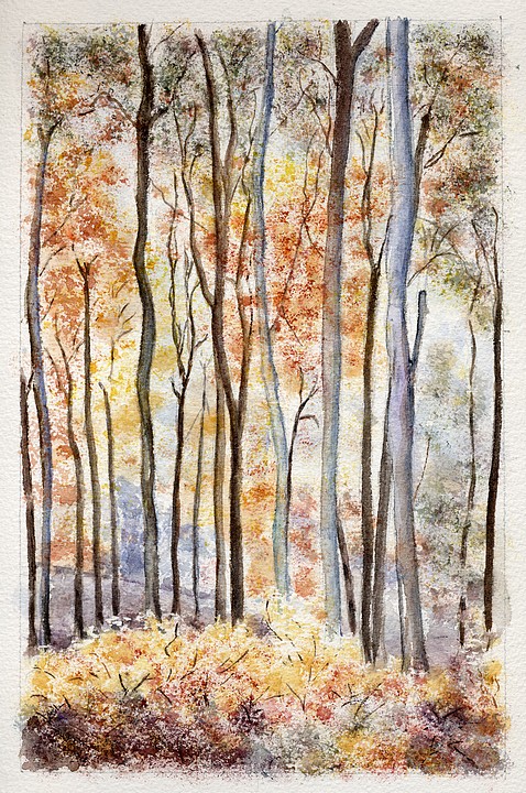 Automne 1974 en forêt de Sarrebruck - Aquarelle © Christiane Rau 2010 d'après photo de Christian