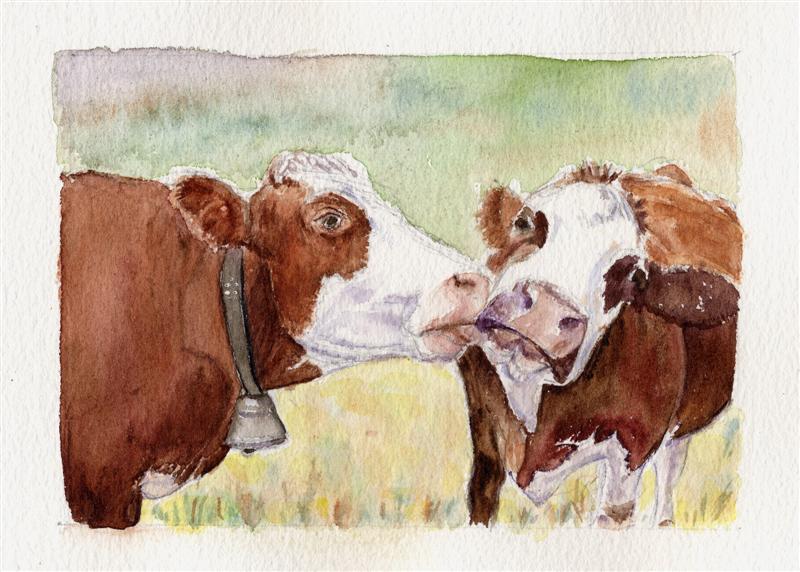 Vaches tendres au Col du Joly - Aquarelle © Christiane Rau, 11-2011