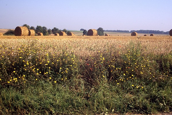 Bullecourt (Photo Michel Rau)