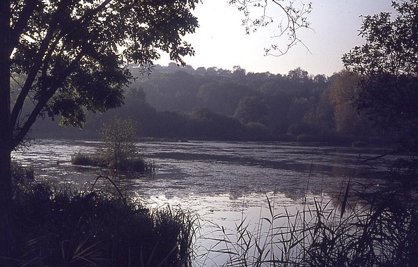 Etangs de Boves