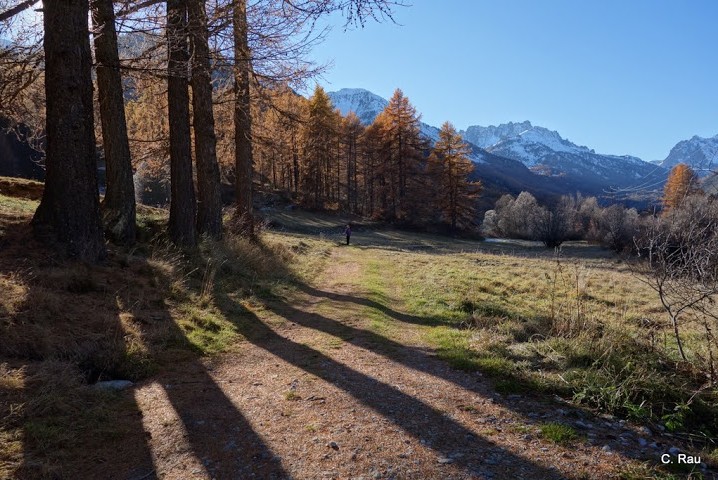 Au rythme des ombres sous le bois Noir