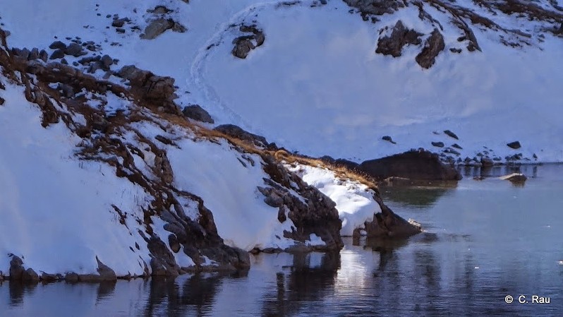 Le Lac Rond des Rochilles, lentement pris par les glaces...