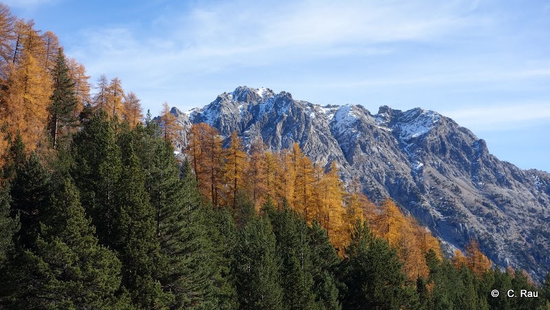 Le Guiau émerge majestueusement de la forêt domaniale des Thures Le Guiau émerge majestueusement de la forêt domaniale des Thures