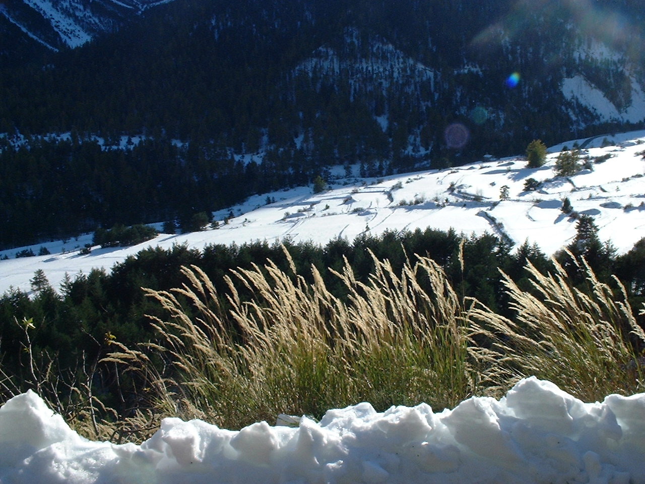 Route de l'Echelle