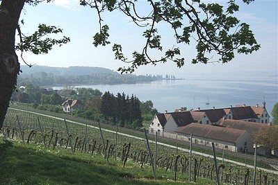 Birnau surplombe le lac et les vignobles...