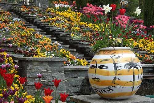 Mainau, l'île aux fleurs...