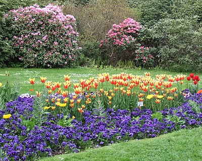 Mainau, l'île aux fleurs...