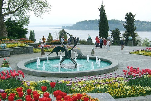 Mainau, l'île aux fleurs...