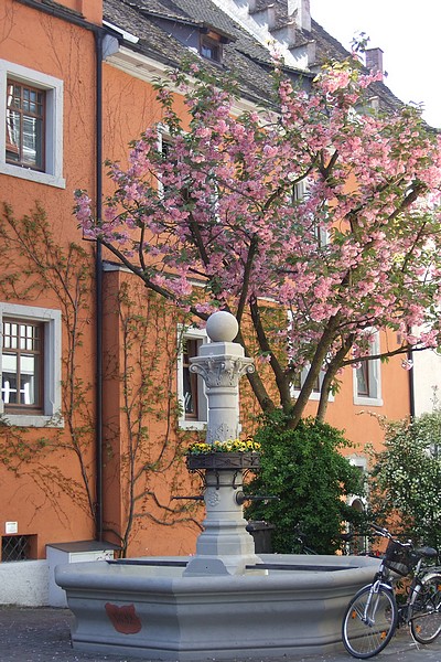 Le charme de la vieille ville de Meersburg...