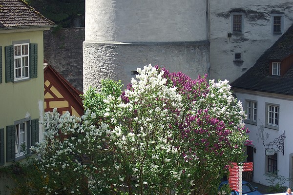 Ambiance de Meersburg