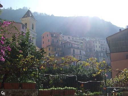 Manarola