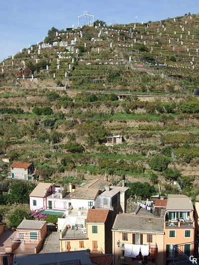 Manarola