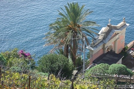 Manarola