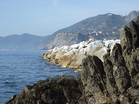 Manarola