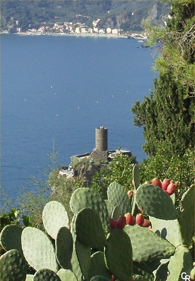 Sentier Corniglia-Vernazza : Vernazza au 1er plan, Monterosso au fond...