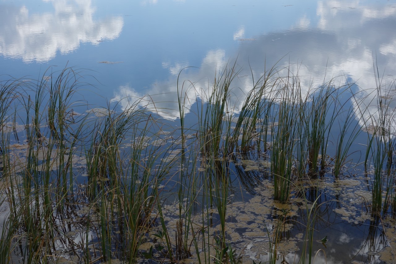 Quand les nuages se noient dans un lac d'altitude... C. Rau 2016