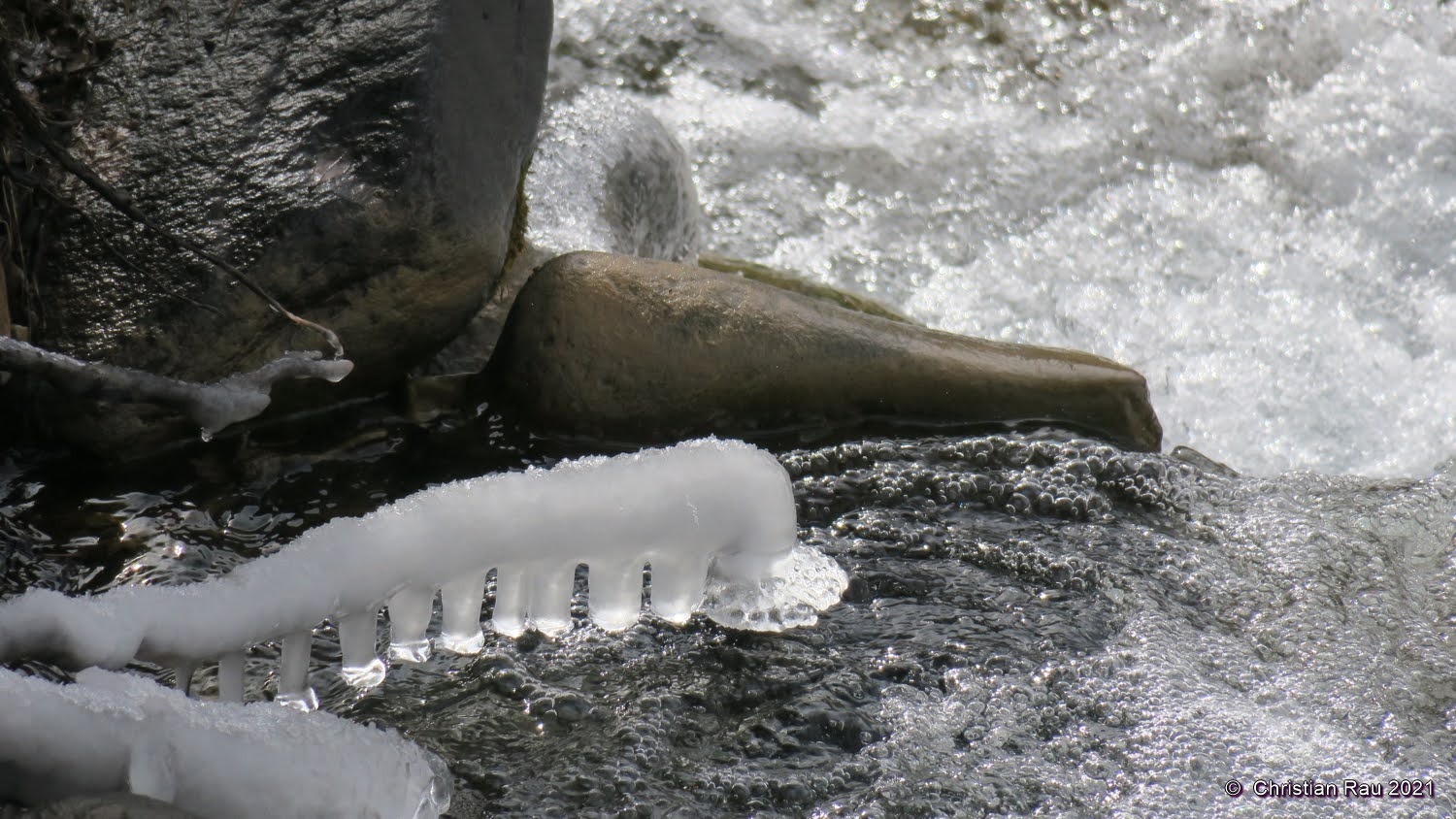 Un mille pattes ausculte le torrent du Vallon...  ©  C. Rau  2021