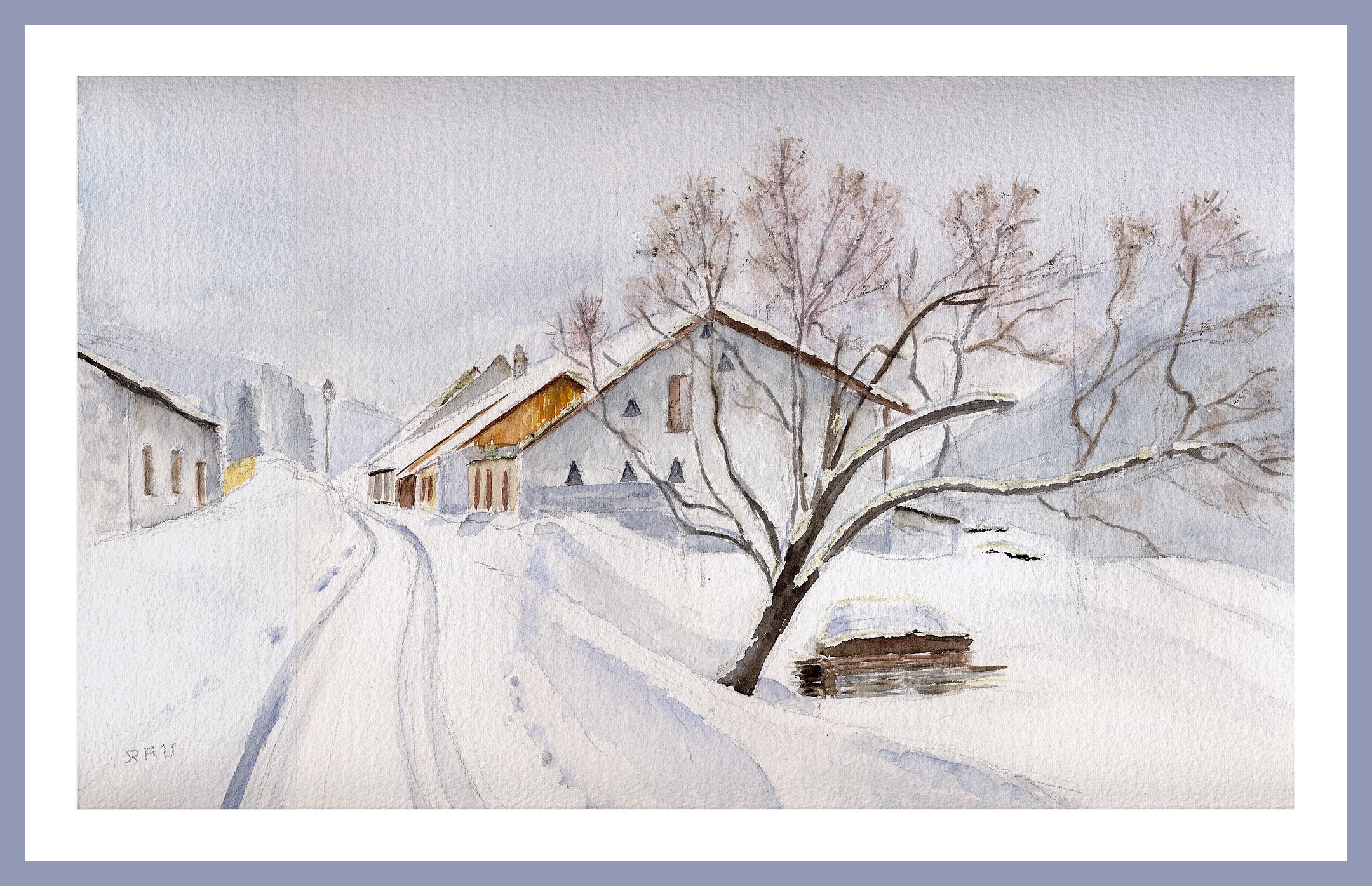 L'arbre de Sallé en hiver - Aquarelle   ©  Christiane Rau - janvier 2025