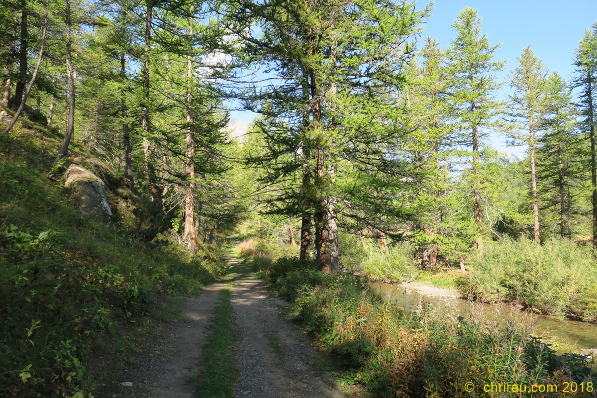 En rive gauche de la Clarée (Lacha) © C. Rau 2018