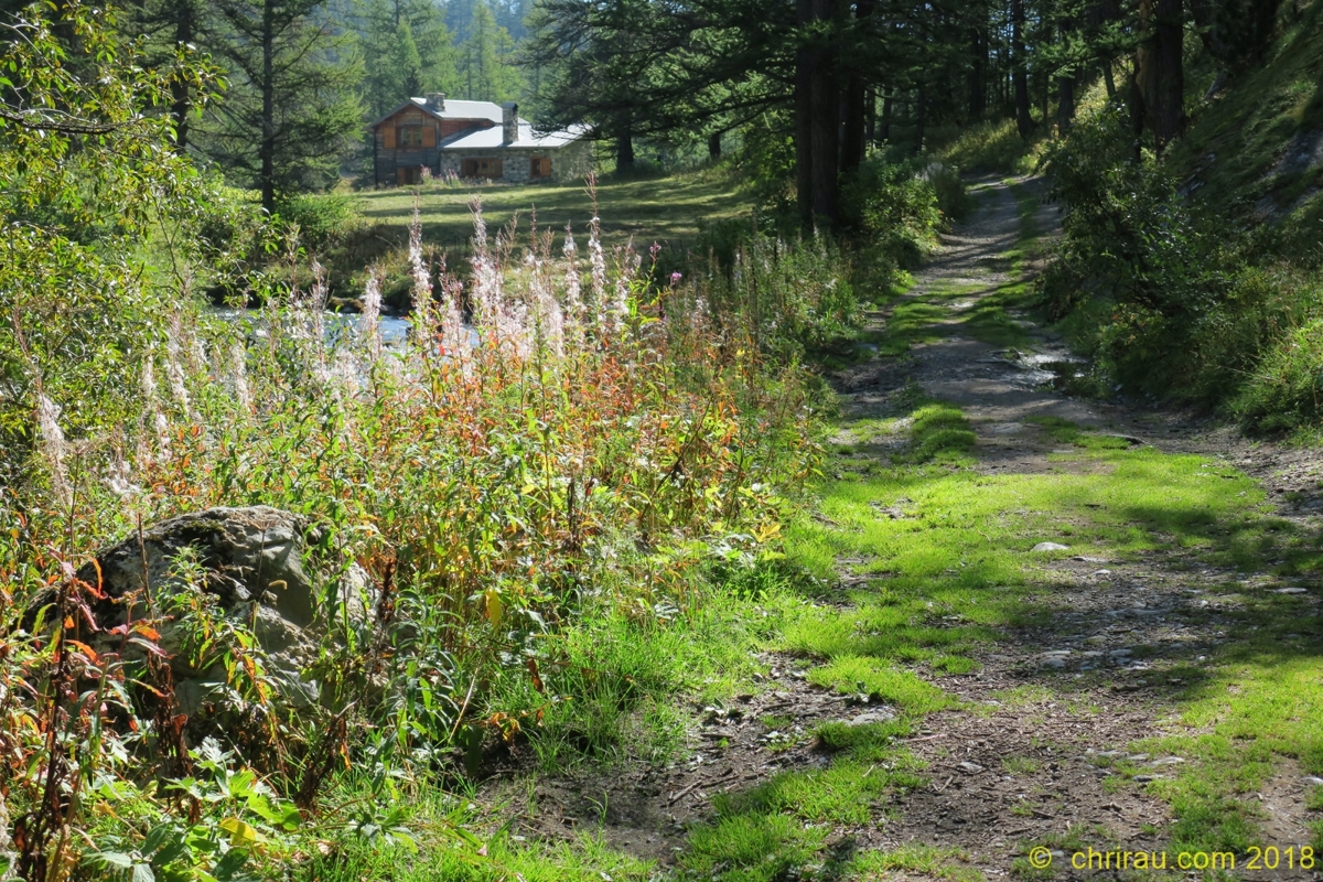 En rive droite de la Clarée (Lacha) © C. Rau 2018 En rive droite de la Clarée (Lacha) © C. Rau 2018