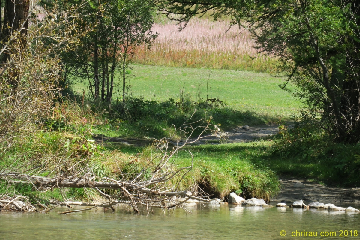 Fenêtre de verdure de la Clarée au Rately (09/2018)