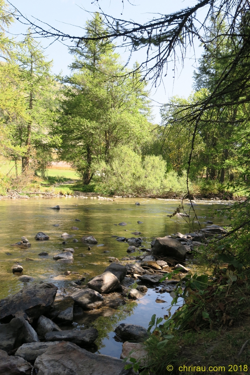 En rive droite de la Clarée (Lacha) © C. Rau 2018 En rive droite de la Clarée (Lacha) © C. Rau 2018