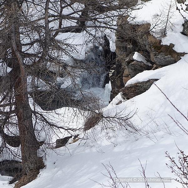 La Clarée près de la Souchère La Clarée près de la Souchère