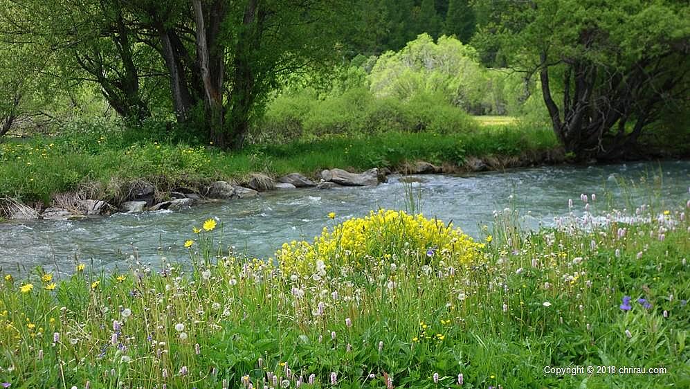 Printemps de la Clarée aux Iscles