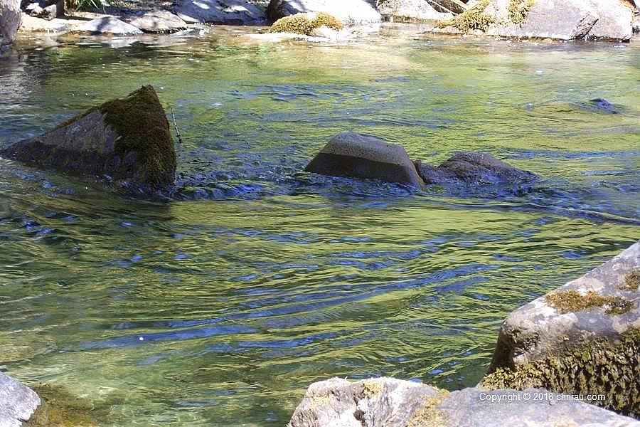 La Clarée près de Roche Noire La Clarée près de Roche Noire