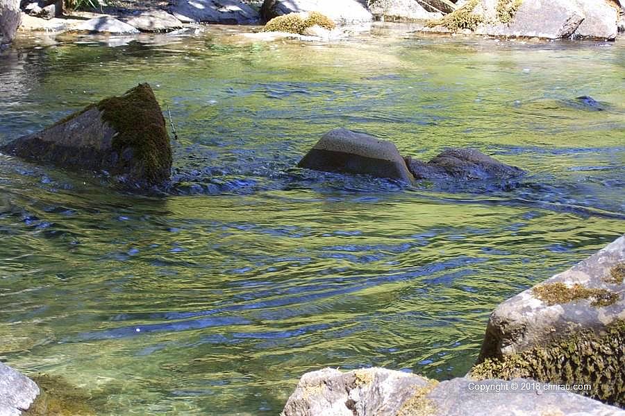 La Clarée près de Roche Noire