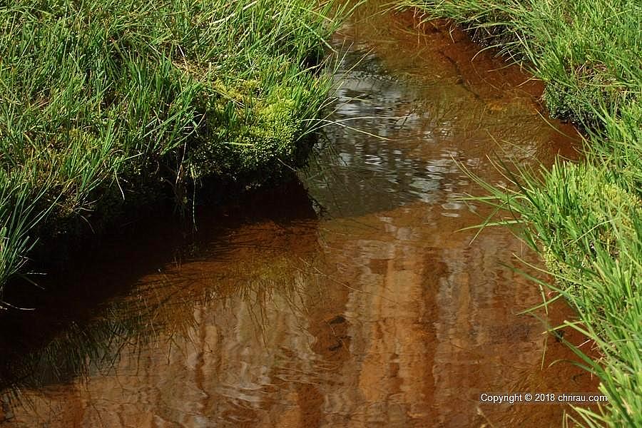 Vers 2400 m d'altitude, les ruisseaux affluents de la Clarée se faufilent entre les herbes Vers 2400 m d'altitude, les ruisseaux affluents de la Clarée se faufilent entre les herbes