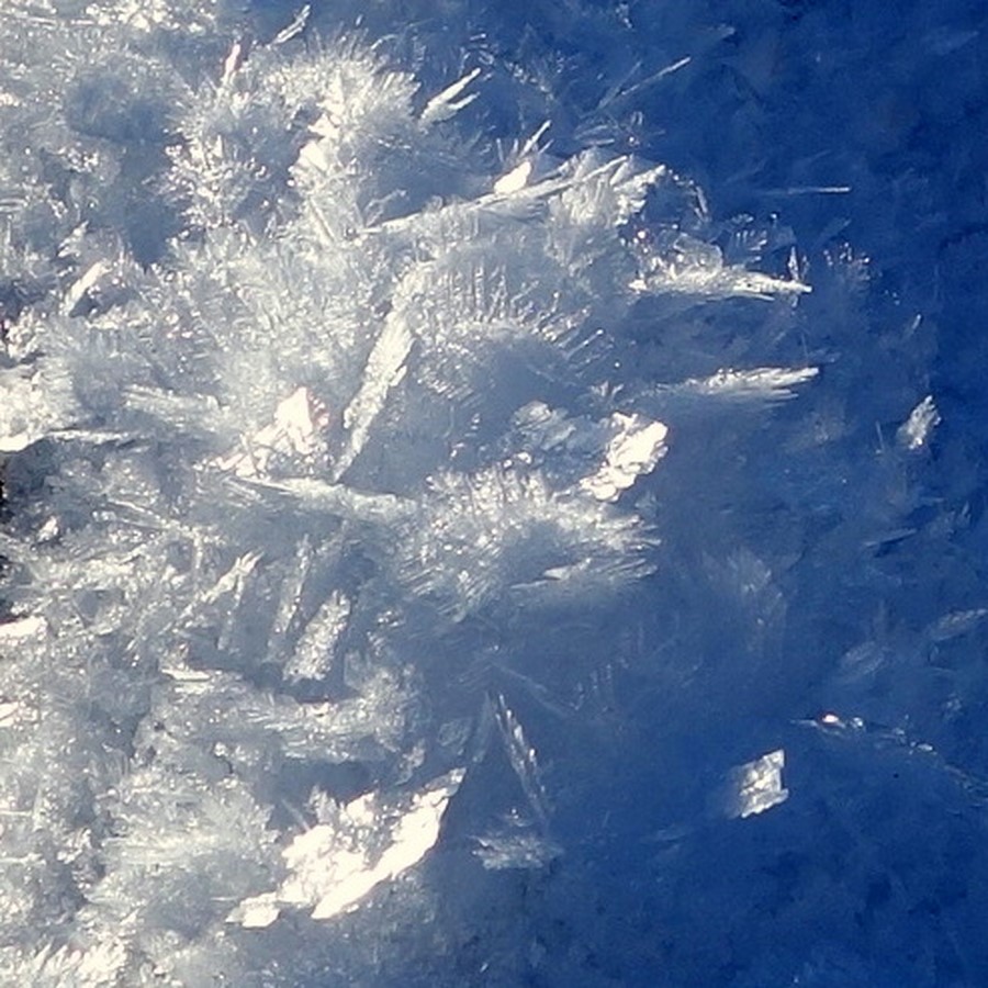 Fleurs de glace aux Iscles - © C. Rau 2016