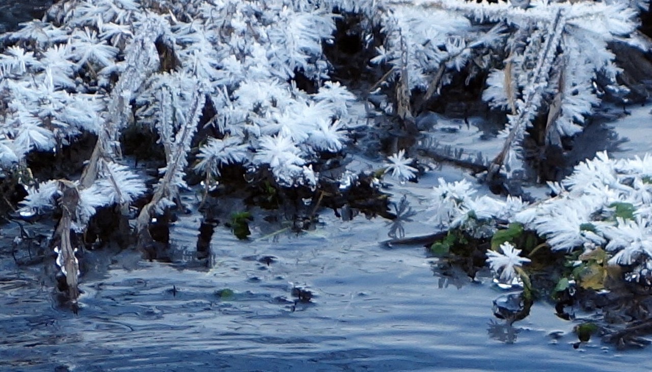 Fleurs de glace aux Iscles - © C. Rau 2016