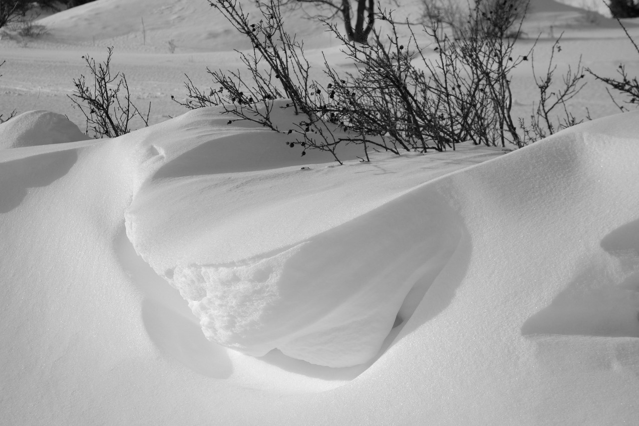 Paysage hivernal au Roubion - © C. Rau 2017