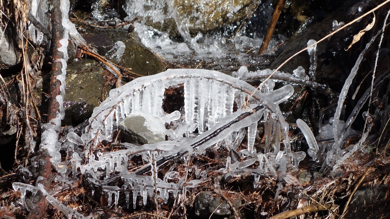 Peigne de glace - © C. Rau 2016