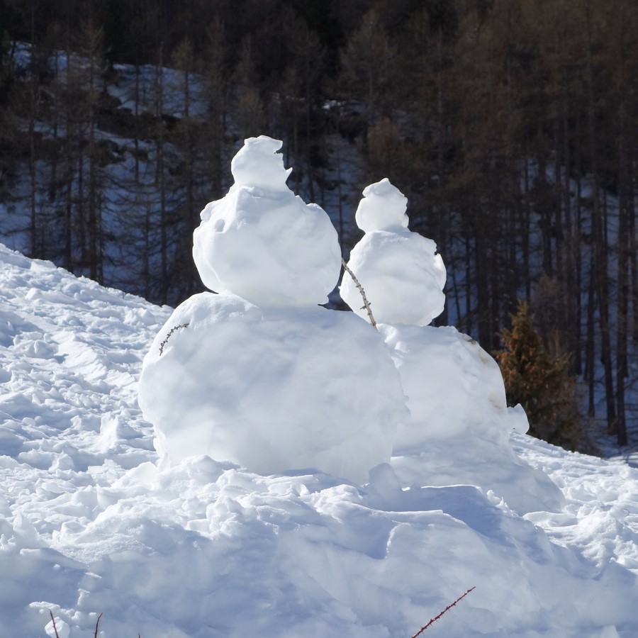 Couple de neige - C. Rau 2017