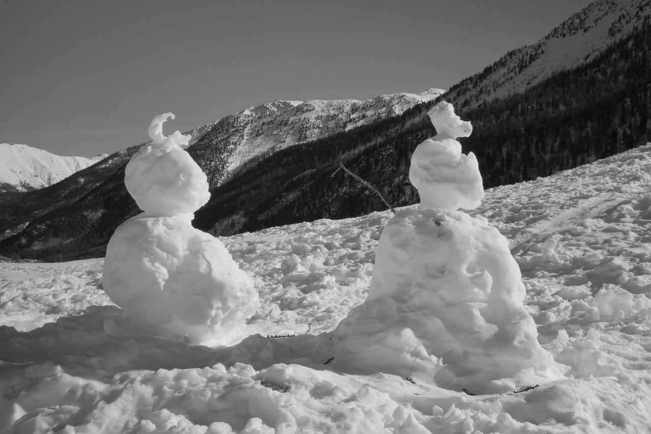 Couple de neige - C. Rau 2017