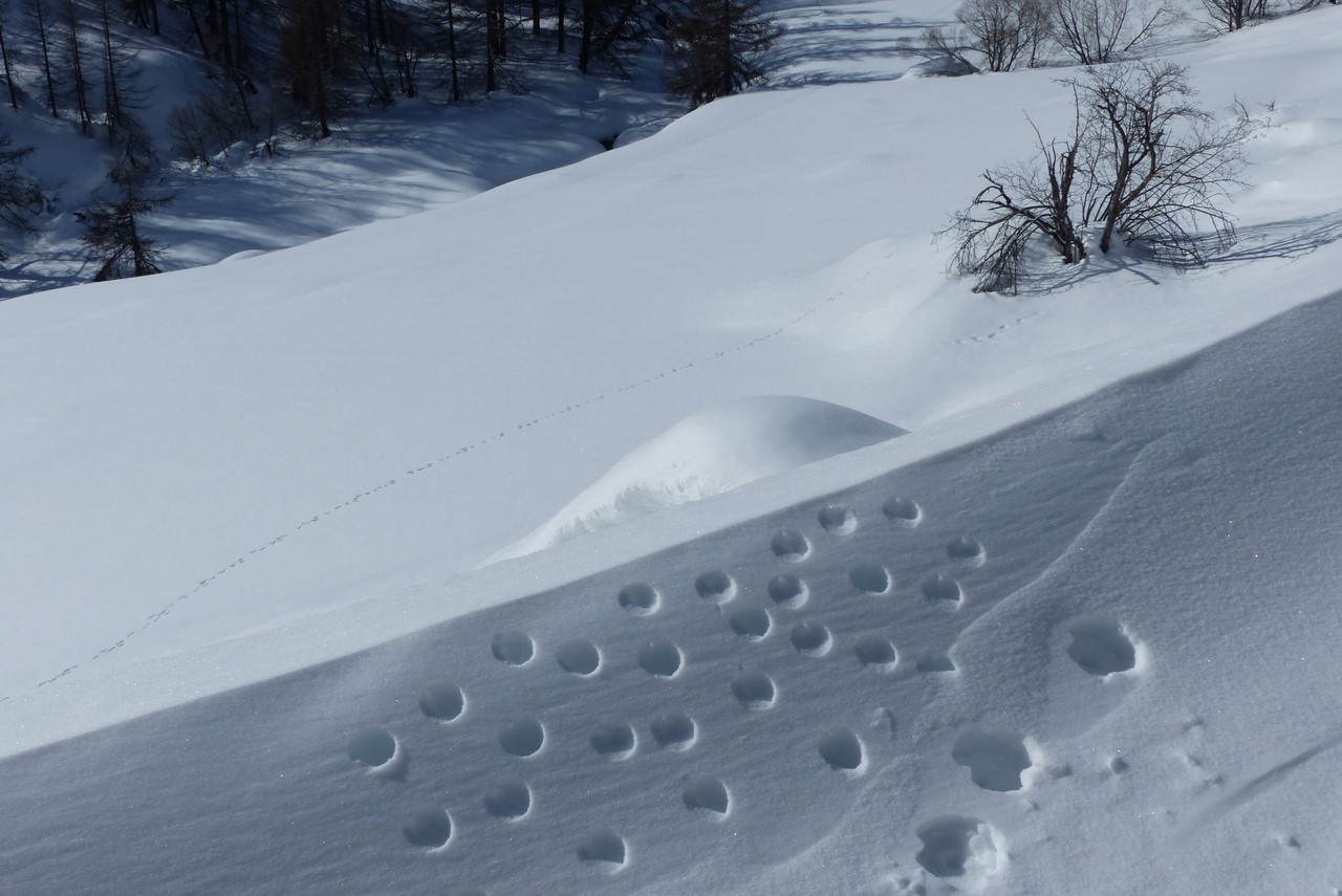 Fantaisies dans la neige, au Verney (Haute vallée) - C. Rau 2018