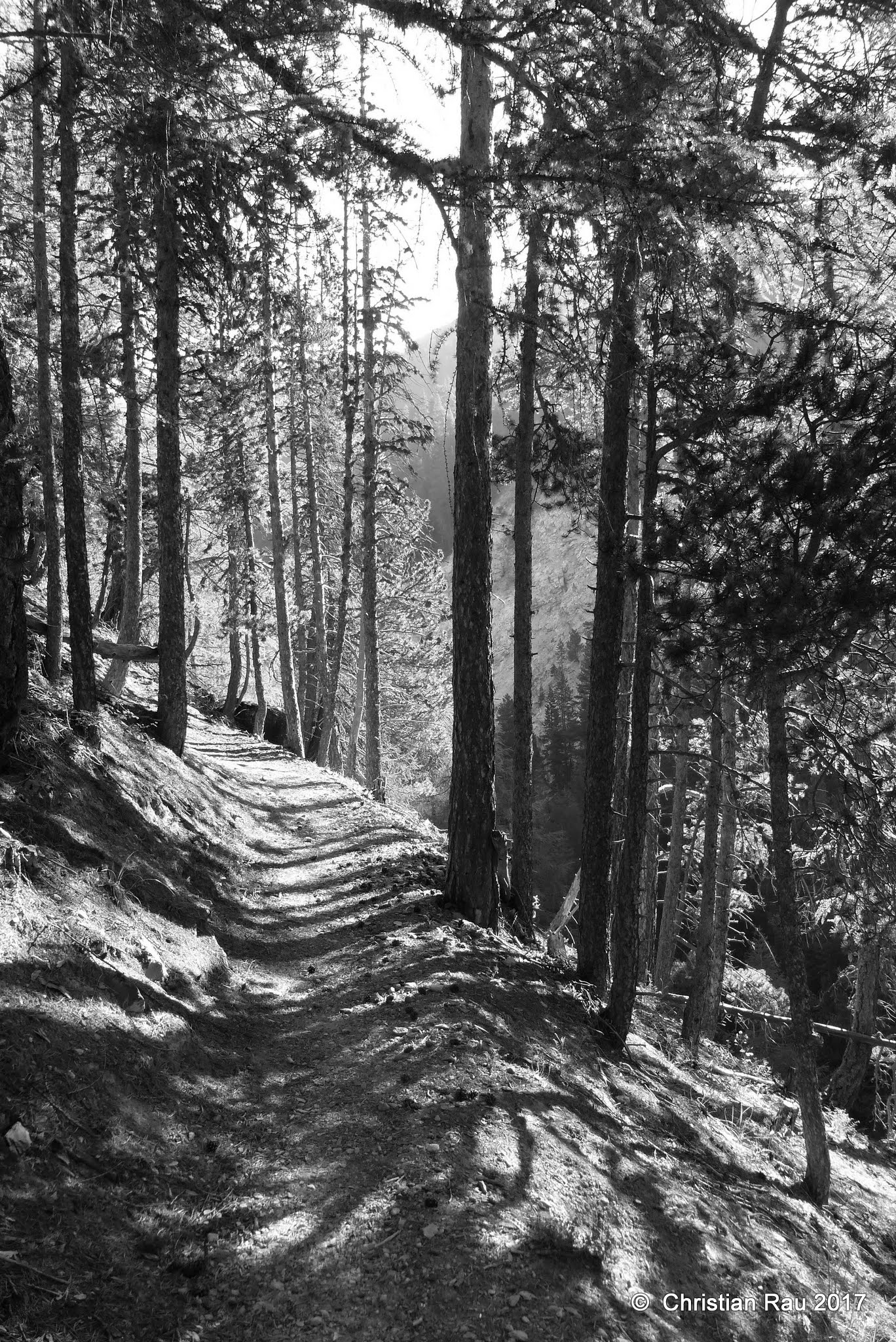 Sur le sentier des Thures - © C. Rau 2017