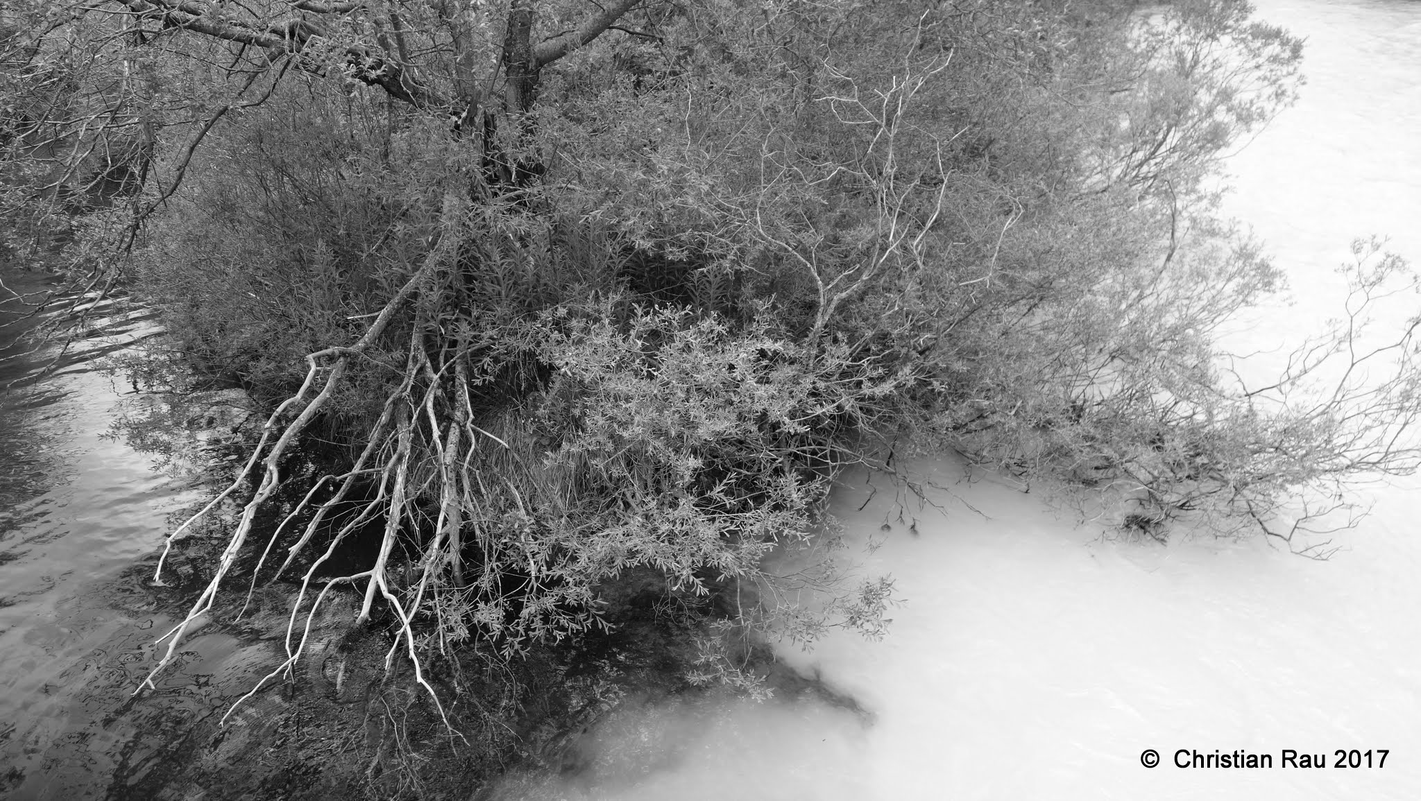 Mélange des eaux après l'orage... © C. Rau 2017