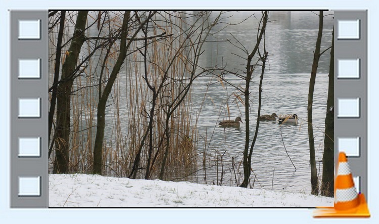 Jour de Neige à Fiancey - 17 janvier 2021 - C. Rau (Cliquer sur l'image pour visionner le diaporama) Jour de Neige à Fiancey - 17 janvier 2021 - C. Rau (Cliquer sur l'image pour visionner le diaporama)