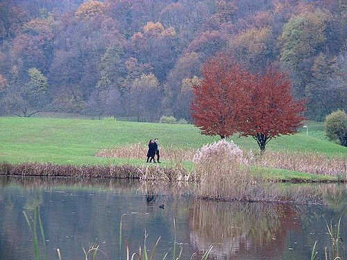 Ambiance d'automne au lac de Fiancey (décembre 2001) Ambiance d'automne au lac de Fiancey (décembre 2001)