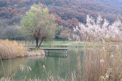 Ambiance d'automne au lac de Fiancey (décembre 2001) Ambiance d'automne au lac de Fiancey (décembre 2001)