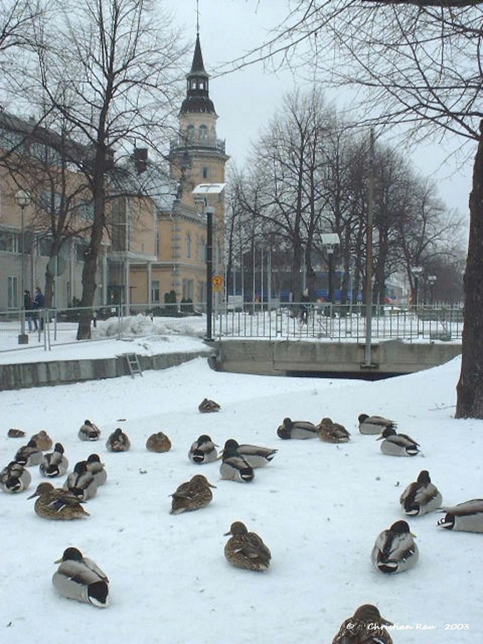 La vieille ville de Rauma, classée au patrimoine mondial de l'Unesco