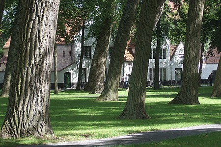 L'enclos ombragé du béguinage...