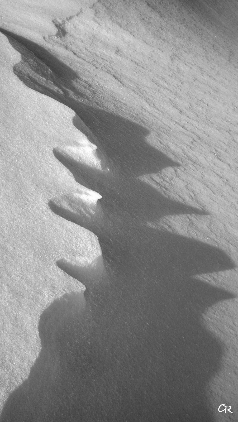 Vibrations neigeuses  - Copyright C. Rau 2017