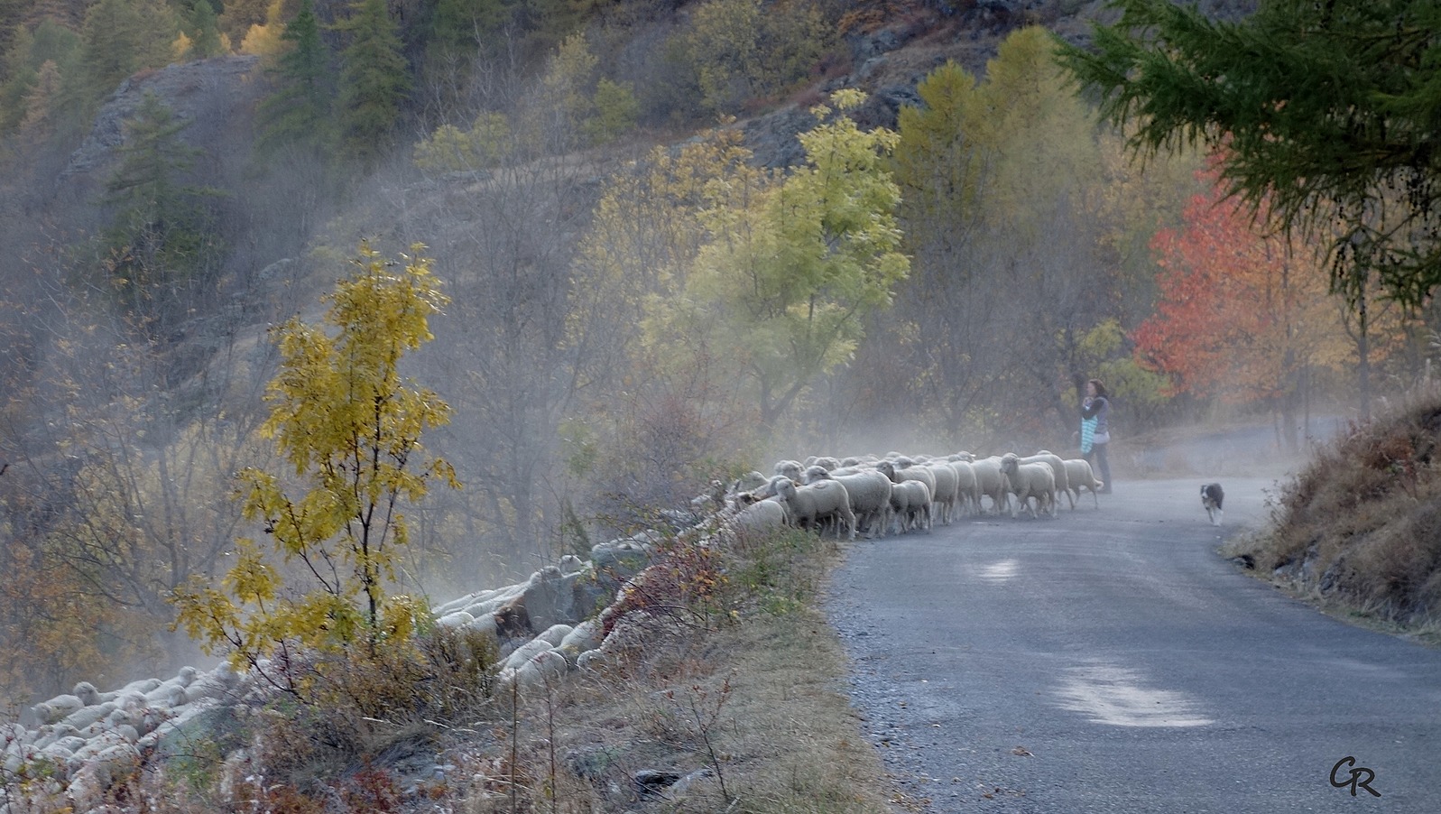 Poussières de transhumance  - Copyright  C. Rau  2017