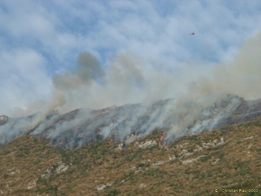 Incendie du Néron, août 2003