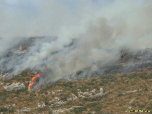 Incendie du Néron, août 2003